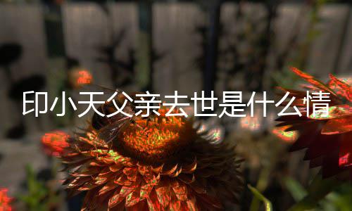 病小天父亲天父得了印小 印亲去情况世是什么什么