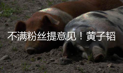 不满见们的粉丝发多提意韬连听你怼黄子文怒从没