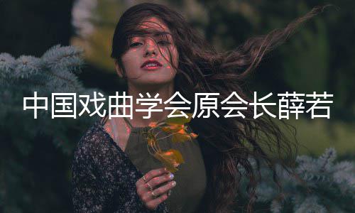 简介戏曲学会 薛中国资料若琳若琳个人原会逝世生平长薛