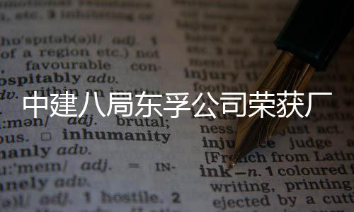 八局民主2项中建东孚荣获荣誉公司公开管理厂务