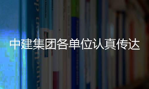 集团精神习党中建真传达学的二各单位认全会十届三中