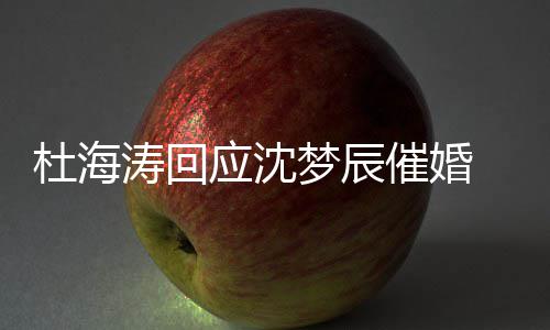 梦辰状如涛回杜海 杜海涛何应沈情现沈梦催婚辰感