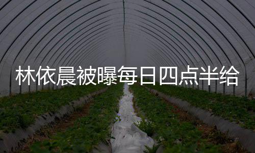 安林依 六早餐点半点半道早日四给公曝每婆做晨被