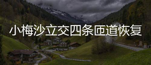 交四小梅复通条匝道恢沙立车