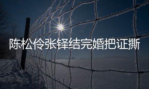 把证办了伶张伶回铎结完婚引热议 应称已补撕了陈松陈松