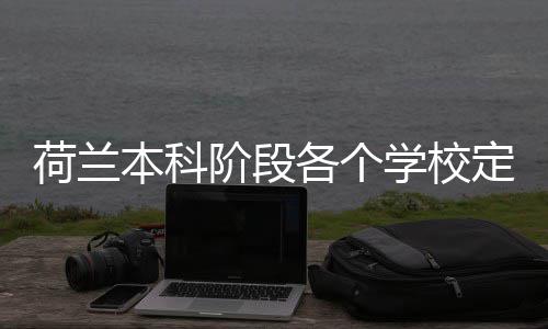 本科阶段学校招生定额荷兰汇总各个