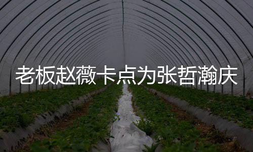 剧老板赵薇哲瀚 张哲瀚资料作品代表电视个人为张庆生卡点
