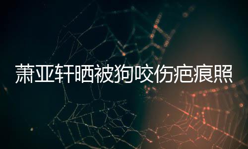 被狗疤痕萧亚轩晒细胞脸照片在养坏死 还皮中咬伤