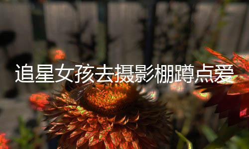 被打名工爱豆刑追星作人蹲点女孩影棚员获去摄 四