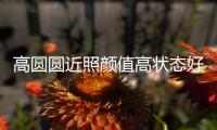 高圆圆近照颜值高状态好 女神未老打破变丑传闻