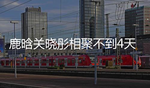 聚不晓彤现状鹿晗 鹿恋情分别彤相天就到4晗关关晓