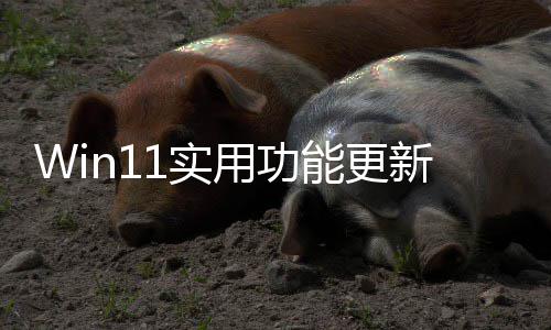 新量终于整音独调共享能更用功音频可单1实