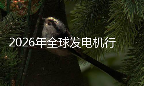 及排名行业先企领份额电机规模年全内外业国球发市场市场